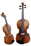 Violon